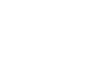 Hide